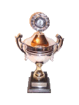 Pokal